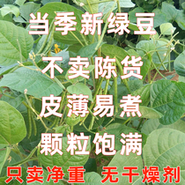 New arrivals of Northeast mung beans farm-grown small mung beans peeled mung beans mung bean cakes mung bean soup ingredients fresh bean sprouts
