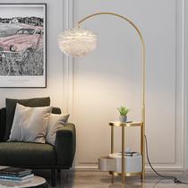 Net red feather fishing floor lamp Nordic light lavish and simple living room Bedroom Bedroom bed head lamp with cabinet upright table lamp