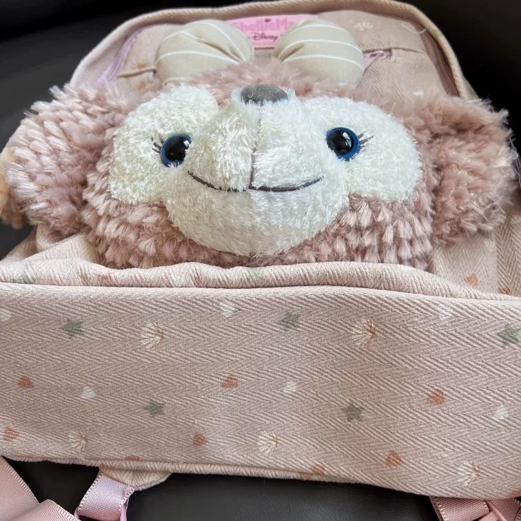 Japanese backpack, bag, cartoon capacious doll
