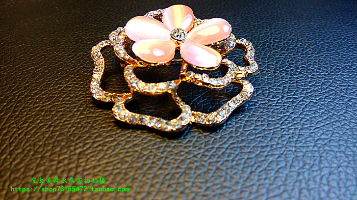Broche femme en cristal artificiel - Ref 1183554 Image 9