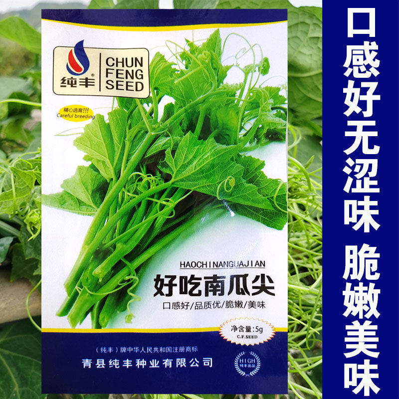 北瓜到底是什么？北瓜和南瓜是不是同一种东西？🧐-生活-淘宝百科网