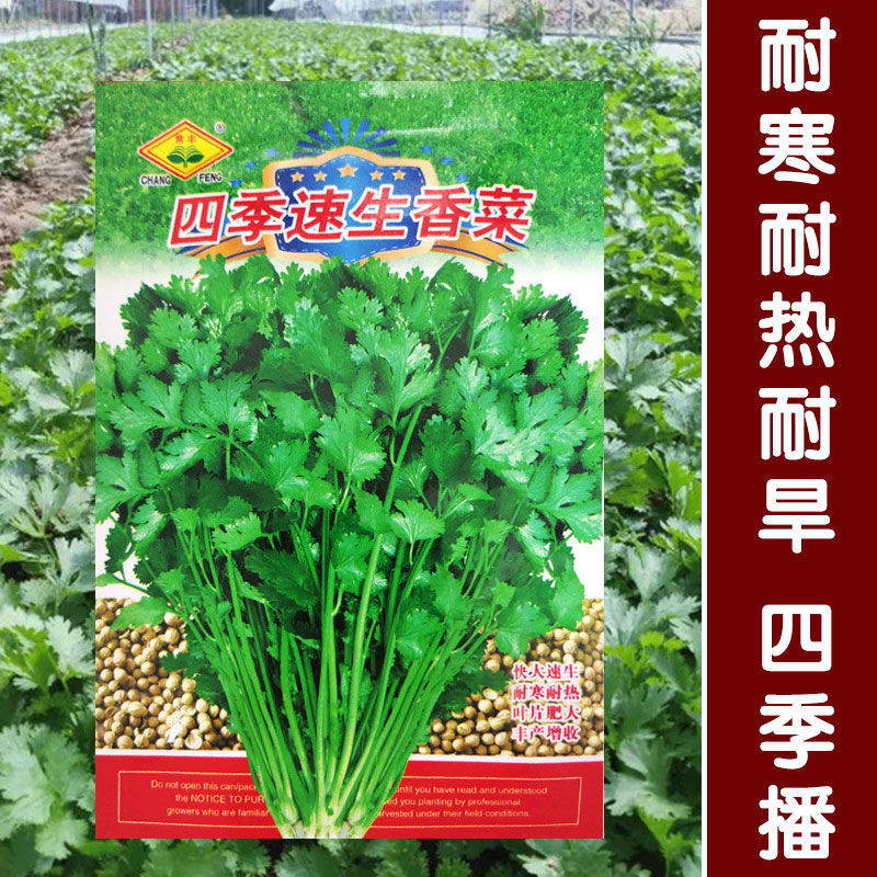CF端游发布时间大揭秘！这波操作太狠了，网友直呼真香！