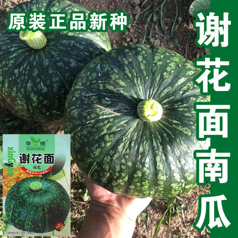 北瓜和南瓜的区别，窝瓜是不是一种瓜？绝绝子，你绝对想不到！-北瓜-淘宝百科网