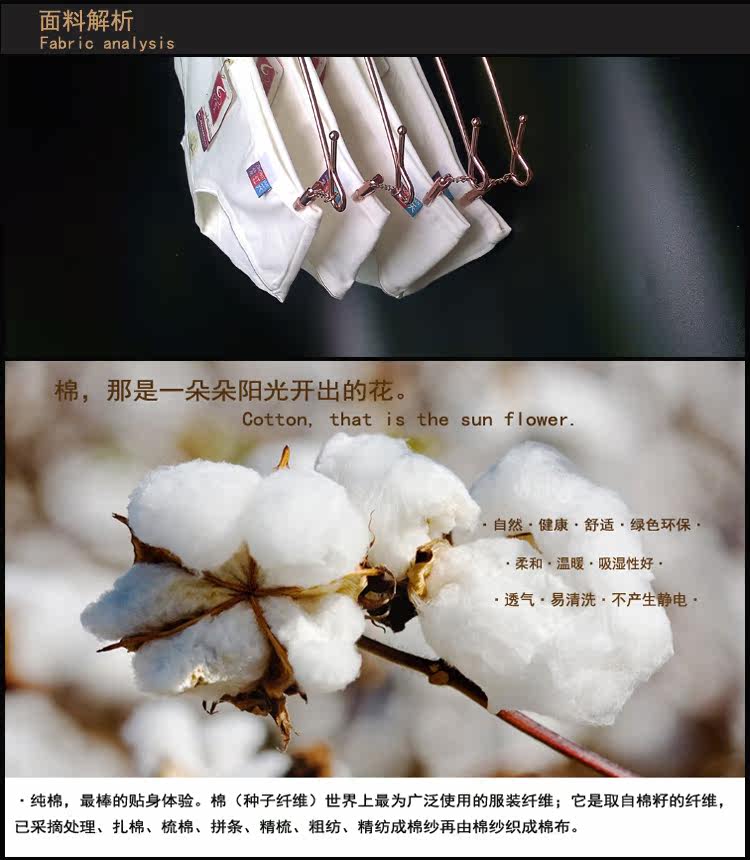 Slip jeunesse simple en coton - Ref 642794 Image 8