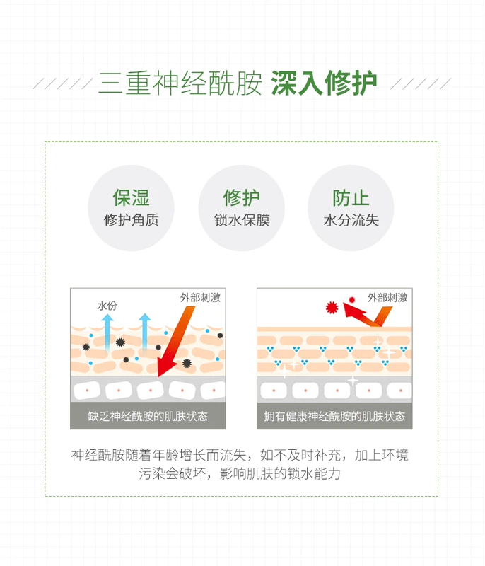 Kem dưỡng ẩm dưỡng da LOVEISDERMA Essence Ceramide Niacinamide B5 50g - Kem dưỡng da