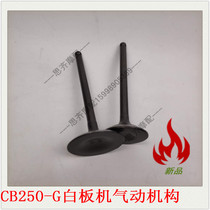 Suitable for Zongshen engine Huayang Guizhong T2 T4 M4 K5 oil seal bomb CB250 Bozoro valve