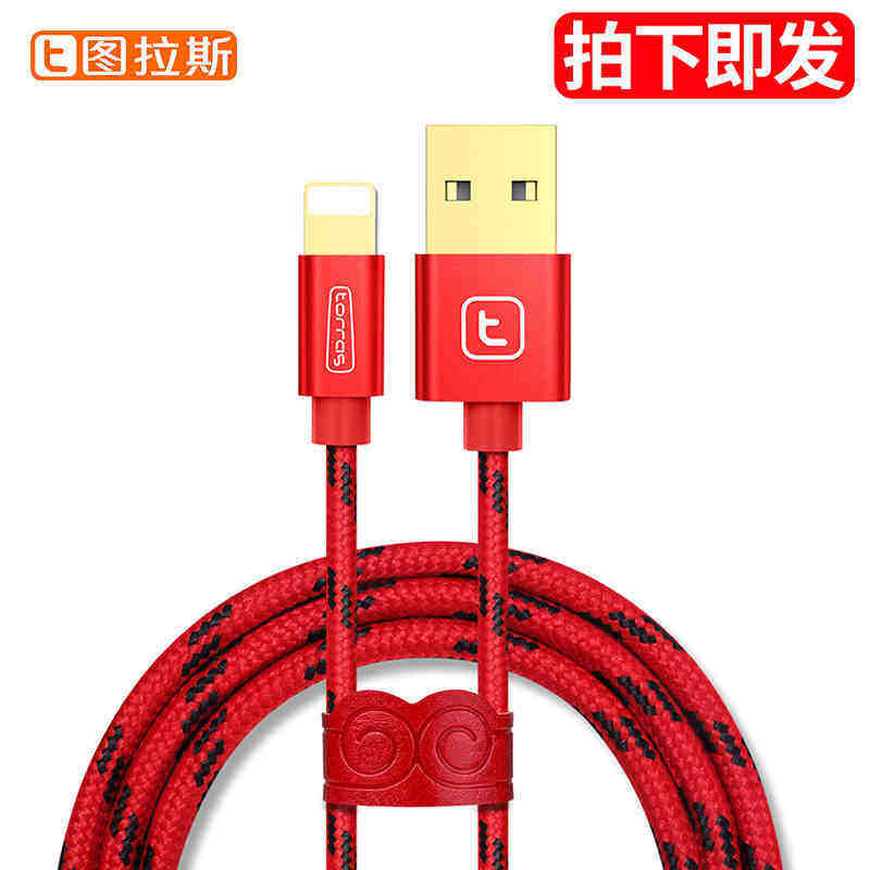 chargeur TORRAS pour téléphones APPLE APPLE - Ref 1299095 Image 4