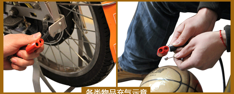 Pompe à vélo - Ref 2391094 Image 12