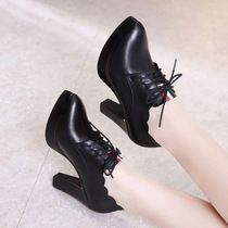 Korean version of the high heel nv pi xie 2021 autumn and winter chunky-heel L tip lace fashion shoes shen kou wild shoes female