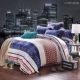Một gia đình bốn nhung san hô dày luật mùa đông ấm áp lông cừu Levin cashmere flannel chăn trải giường chồn vàng cashmere - Bộ đồ giường bốn mảnh