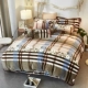 Một gia đình bốn nhung san hô dày luật mùa đông ấm áp lông cừu Levin cashmere flannel chăn trải giường chồn vàng cashmere - Bộ đồ giường bốn mảnh