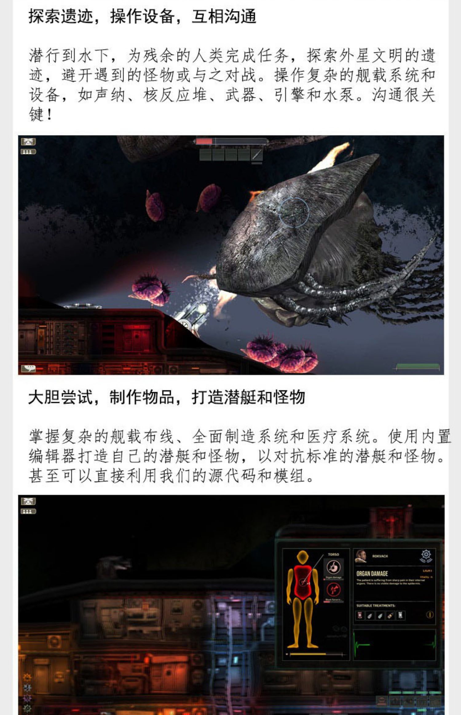 PC中文Steam游戏 潜渊症 Barotrauma 模拟策略类游戏 国区激活码