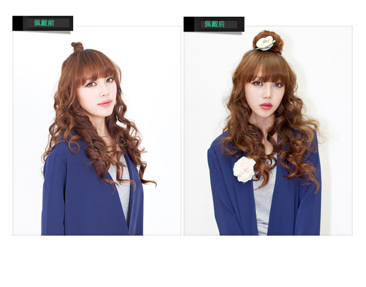 Extension cheveux - Chignon - Ref 244994 Image 23