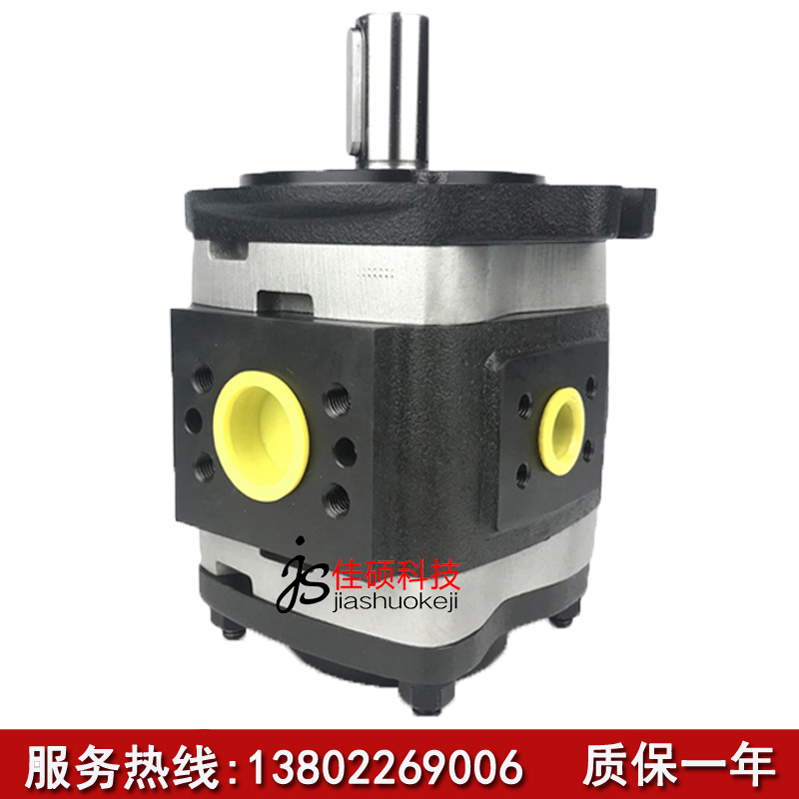 VOITH VOITH VOITH Oil Pump IPV6 IPVP6 IPVS6-64 80 100 125-101 111 601