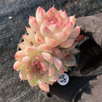 Съемка на 44-й 5-19 5 см.