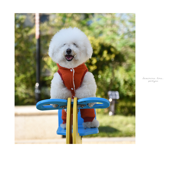 Quần áo chó con Quần áo mùa đông Quần cotton bốn chân dày Quần áo gấu hơn quần áo thú cưng Quần áo Xue Narui - Quần áo & phụ kiện thú cưng áo khoác cho chó
