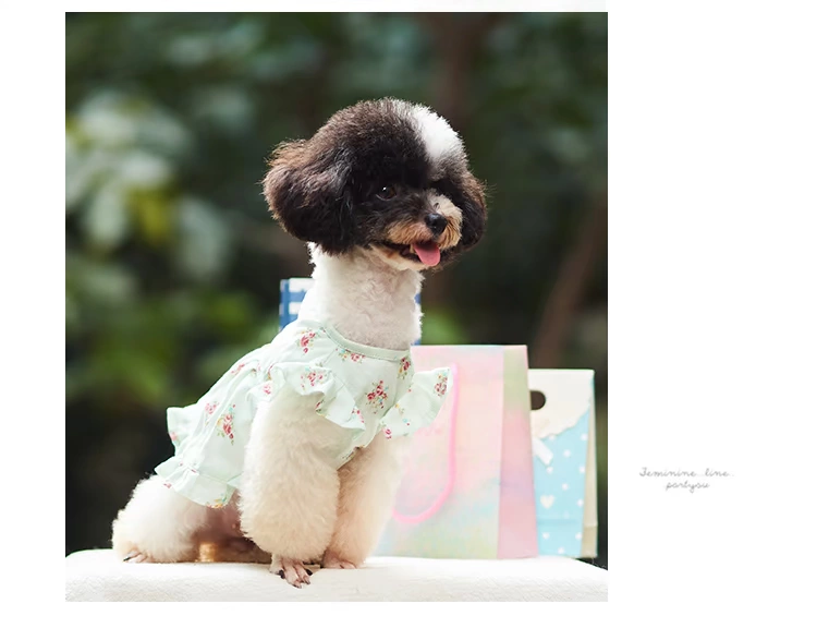 Quần áo trẻ em màu đen cotton mùa hè váy váy chó quần áo mùa xuân và quần áo mùa hè Teddy váy váy hoa - Quần áo & phụ kiện thú cưng quan ao thu cung
