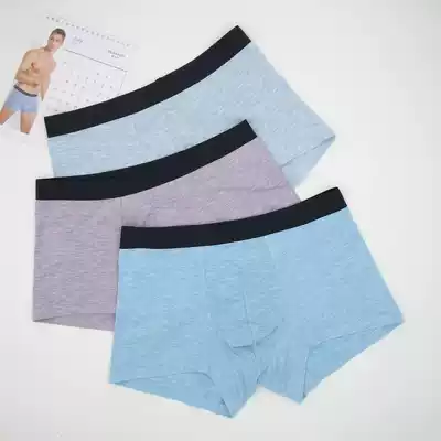 2 pairs of Dolby knight men's modal four-corner panties sexy mid-waist seamless fit without trace new style