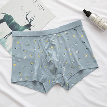 Full of 2 Dolby Knight mens boxer underwear antibacterial wide side waist sexy Viscose trousers antibacterial