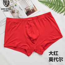 Dolby Knight panties man Model was the year of big red sexy mid-waist shorts