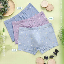 Full of 2 Dolby Knight mens young boxer underwear antibacterial middle waist sexy Antibacterial Soft New