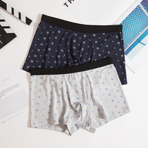 Dolby Knight mens boxer knickers Modal wide edge sexy waist pants head soft and breathable