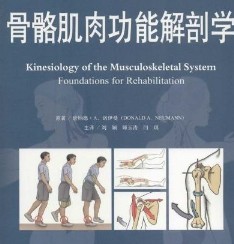 Skeletal Muscle Function Anatomy Atlas of Human Structures Science Human Body Structure Skeletal Muscle Function Anatomy