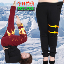 Extra large size plus velvet pants women 200 pounds fat mm wear pants outside the high waist mom pants warm pants casual pants show thin