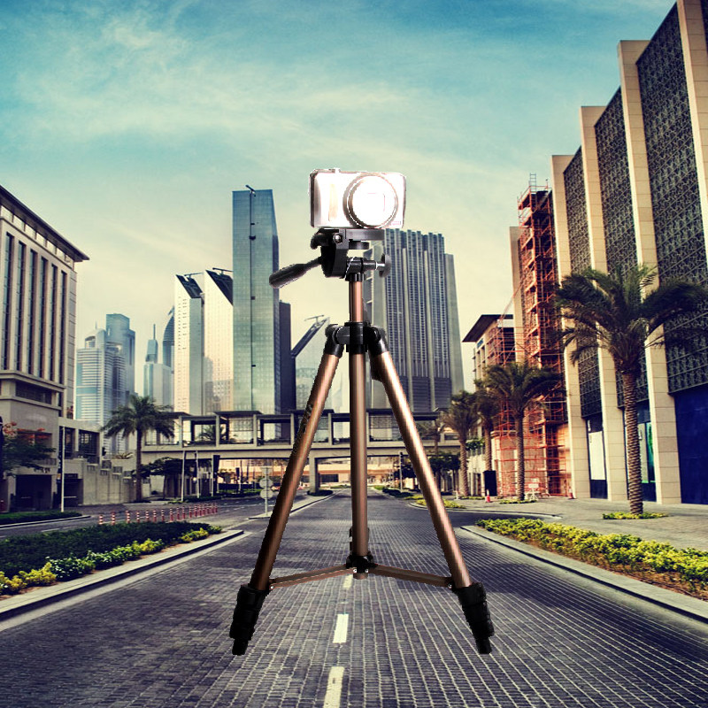 Weifeng WF-3130 micro single eye camera Single-eye camera tripod fishing lamp holder mobile phone selfie live film tripod