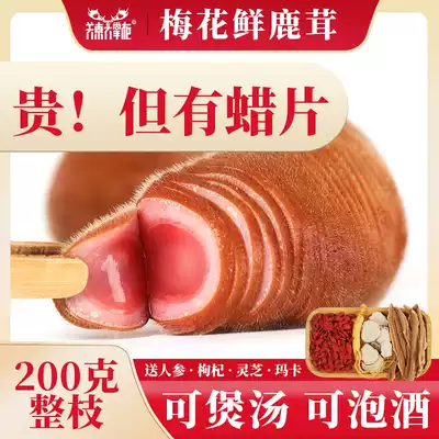 Guandong big shopkeeper artificial breeding Jilin Shuangyang sika deer whole fresh deer antler slice auction before consulting customer service