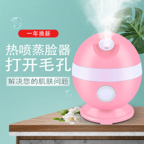 Hot spray fruit and vegetable steamer Facial humidification and hydration beauty instrument