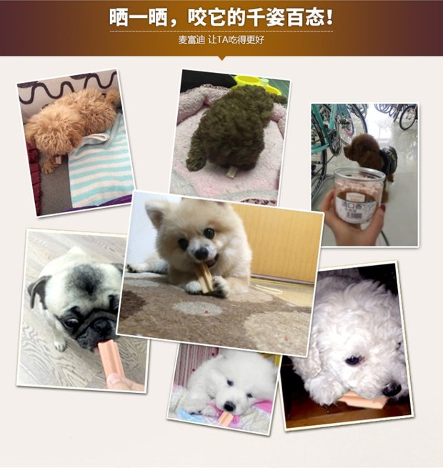 Mai Fudi trong miệng 220g cún con nhai que Teddy VIP Jin Mao Samoyed Bomei Jie răng chó ăn vặt bánh thưởng cho chó poodle