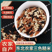 5 catty Tricolour rice coarse rice 3 color coarse grain black rice cereal combined porridge rice gym meal fat minus pregnant woman porridge