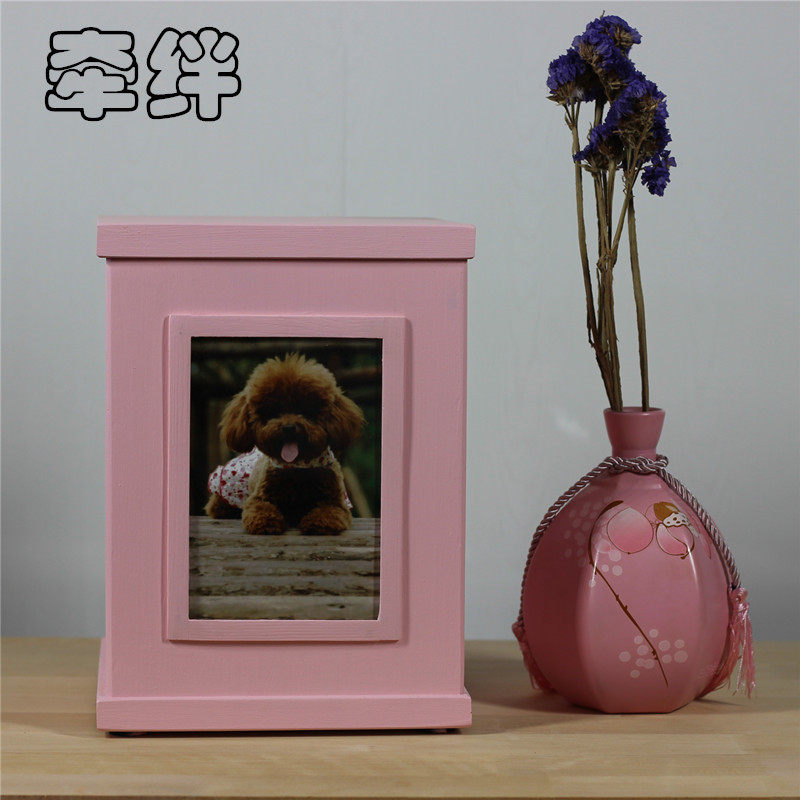 Holding Pets to contain Commemorative Bone Ash Box Kitty Pooch Dies Placement Ashes Jar 6 Inch Photos Miss Home