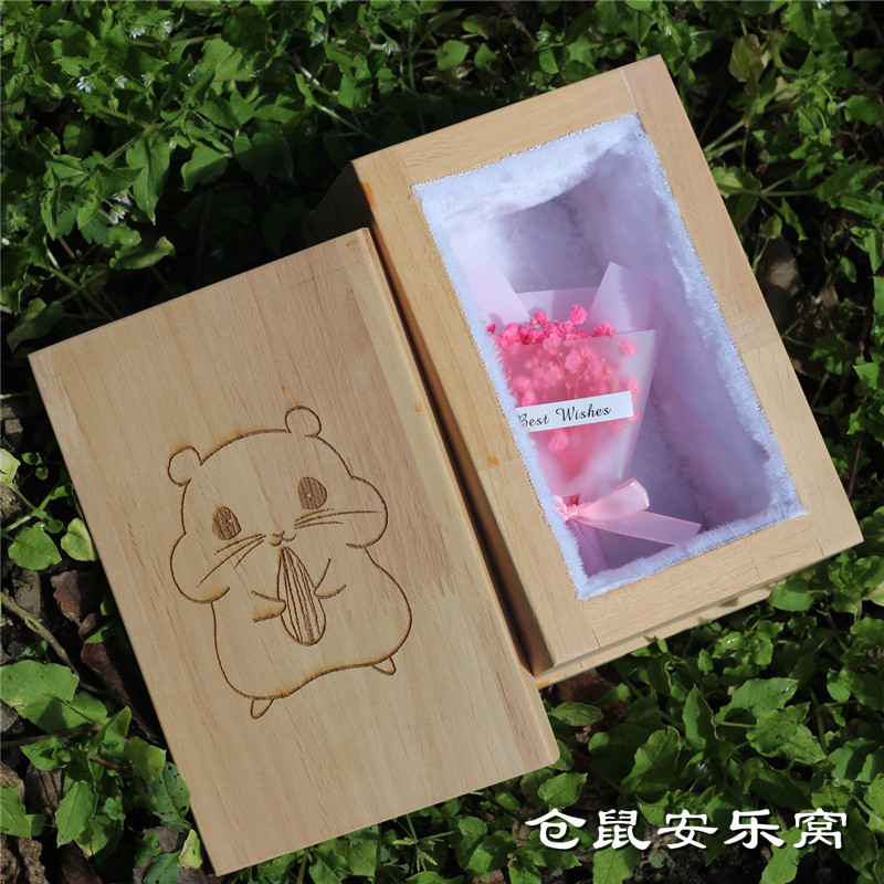 Solid Wood Pet Coffin, Small Pet Hamster Coffin, Parrot Coffin, Burial Coffin for Small Animals, Small Coffin