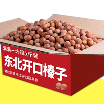  New goods original Northeast open hazelnuts fried and cooked extra large particles fragrant 5 kg bulk baking raw materials pregnant women nuts