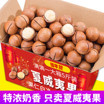  New goods Extra large Hawaii fruit in bulk 5 kg FCL 5 kg creamy summer fruit original flavor without added nuts 10 kg