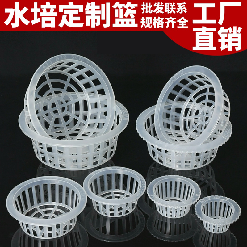 Hydroponic Planting Basket, Soil Cultivation Plant Fixing Basket, Glass Vase, Flower Basket, Hydroponic Container, Green Radish and Lucky Bamboo Root Fixing Device