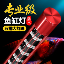 Arowana lamp fish tank lamp LED lamp waterproof super bright diving ornamental reddish beautiful and non-red water special golden dragon lamp
