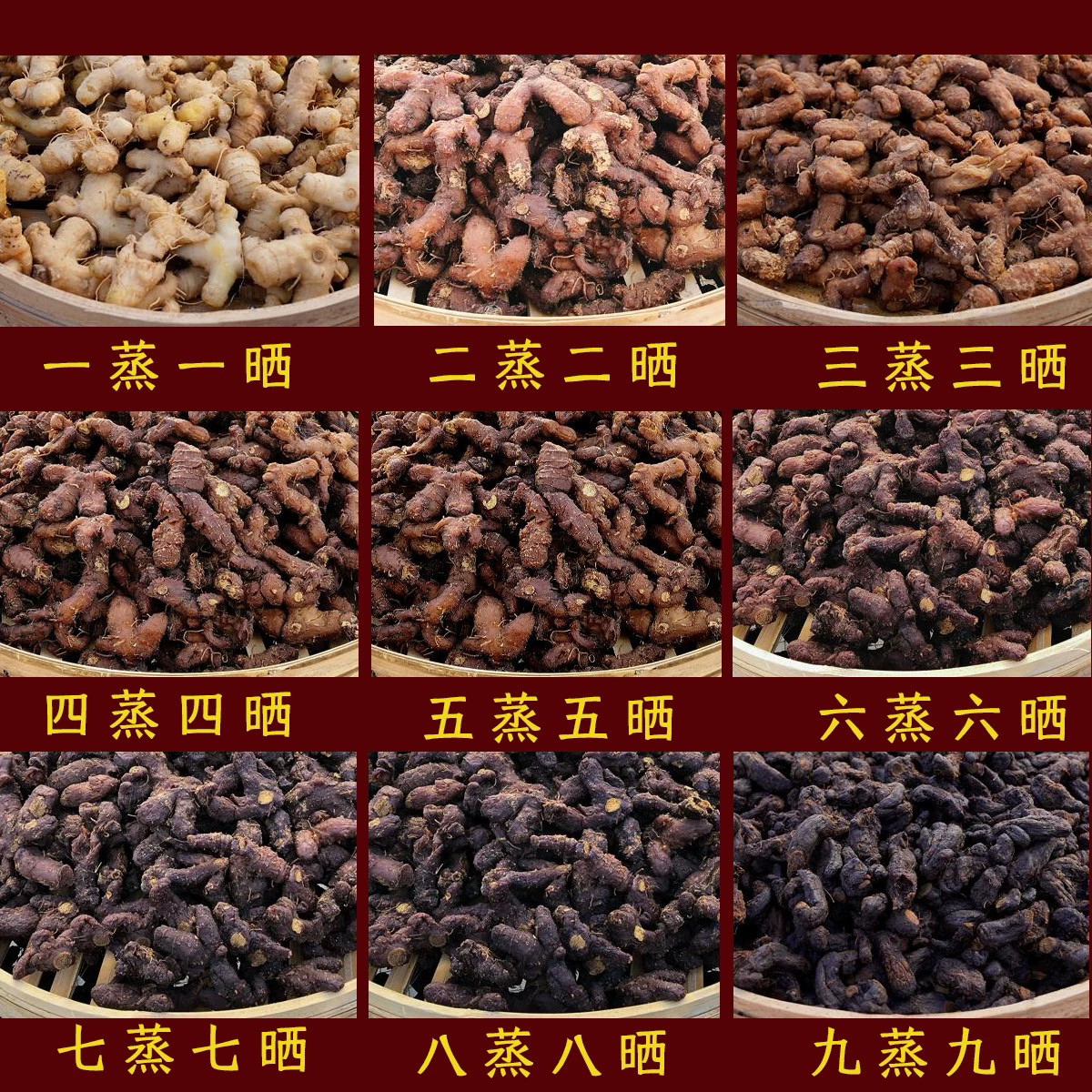 九华山九蒸九晒黄精:穿越时间的养生瑰宝🌿-黄精-淘宝百科网