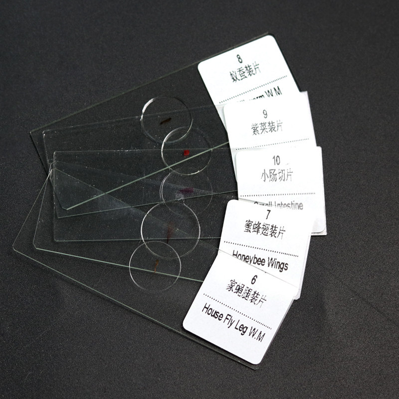 Biological Microscope Observation Specimens, Children's Experiment Kits, Making Animal and Plant Cell Slides, Materials for Middle School Students' Teaching Materials, Insect and Microbial Glass Slides