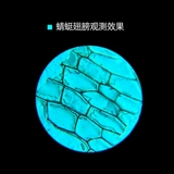 Лупа с подсветкой, портативный микроскоп, бриллиантовое ювелирное украшение из грецкого ореха из нефрита, антикварные марки, мобильный телефон, увеличение в 50 раз