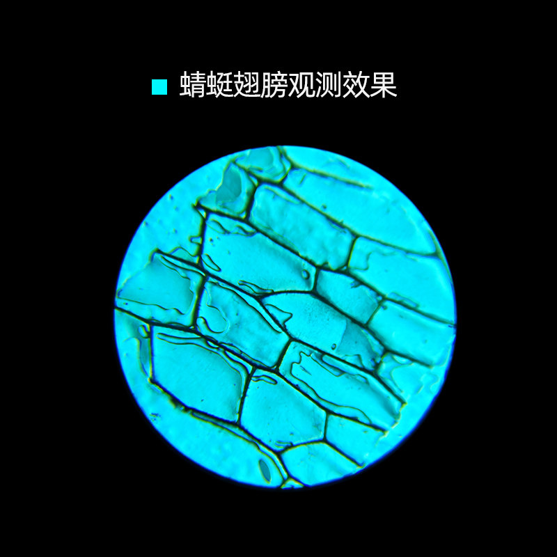 50X High-Definition Magnifying Glass with Light, 100X Handheld Portable Microscope, Pigeon Eye, for Jewelry, Diamonds, Jade, Antique Identification, Stamps, Antiques, Printing, Liquor, Mobile Phone Use, 60X