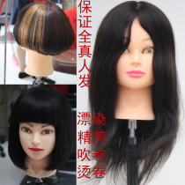 Head model real hair salon hair special dummy head can be hot dyed and cut hair wig model head full real hair model head