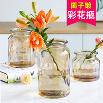 Vase glass colored transparent ornaments living room creative simple water culture ins Nordic dried flower vase size