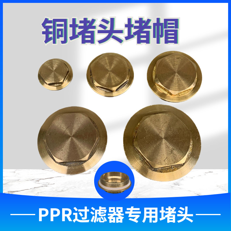 Thickened PPR filter copper blocking plug 4 minutes 6 minutes 1 inch Y-type 20 filter valve wire plug cap pipe fittings