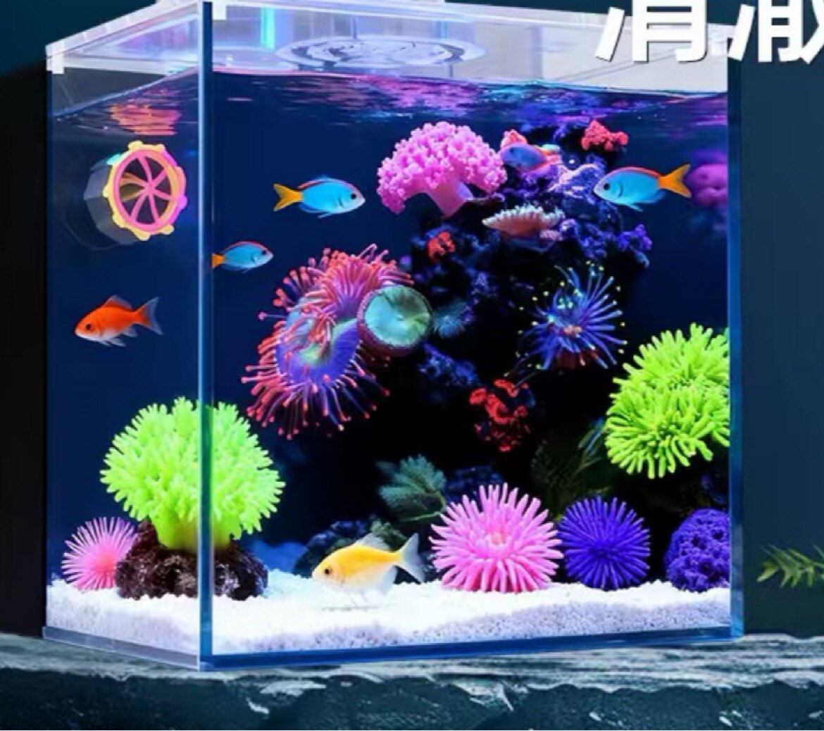 宝贝的海缸馆的LOGO