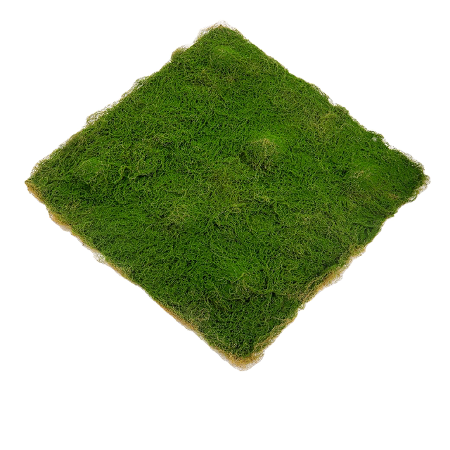 Simulated moss moss diy ປອມ moss lawn turf fake moss ສີຂຽວພືດຕົກແຕ່ງພູມສັນຖານ bonsai paving