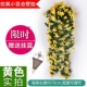 Little Lily 2nd Bunch (отправить висящий мост)))))