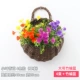 Little Lotus Mixed Color 4 пучки (отправьте большие бамбуковые плетения корзины)